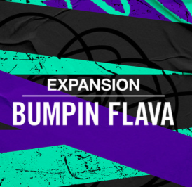 Native Instruments Bumpin Flava Exp